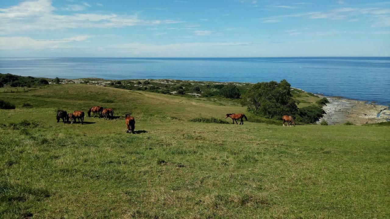Posada Punta Linera San Vicente de la Barquera Kültér fotó